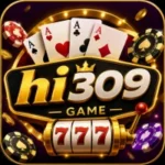 hi309 game