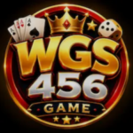 WGS 456 Game
