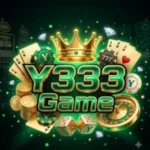 Y333 Game